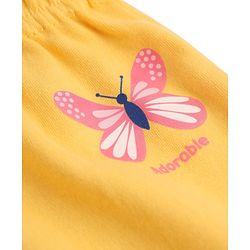 Babyhug Cotton Knit Diaper Leggings With Butterfly Print Pack of 3 in Blue Yellow