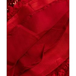 Babyhug  Mesh Woven Sleeveless Party Dress With Sequin Detailing & Floral Corsage - Red