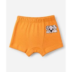 Babyhug Disney 100% Cotton Knit Briefs With Disney Character Graphic Pack Of 3 - Sky Blue Orange & Navy Blue