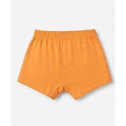 Babyhug Disney 100% Cotton Knit Briefs With Disney Character Graphic Pack Of 3 - Sky Blue Orange & Navy Blue