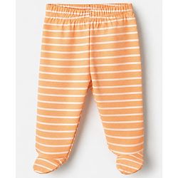 Babyhug Cotton Knit Footed Bootie Leggings With Animal Print Pack of 3 - Orange Light Green Blue