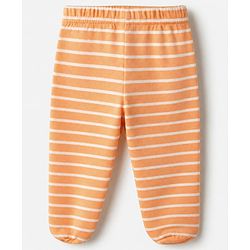 Babyhug Cotton Knit Footed Bootie Leggings With Animal Print Pack of 3 - Orange Light Green Blue
