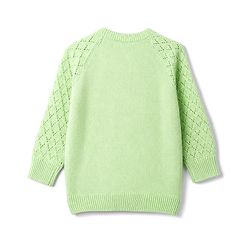 Babyhug Knit Full Raglan Sleeves Embroidered Front Open Sweater - Light Green