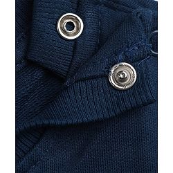 Babyhug 100% Cotton Terry Sweatshirt with Full Sleeves and Tiger Applique in Navy Blue for 6-9 Months