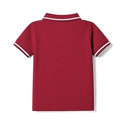 Babyhug Cotton Blend Knit Half Sleeves Polo T-Shirt with Play Text Print - Red