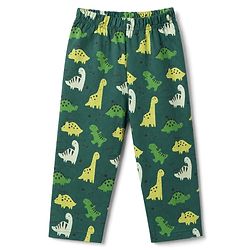 Babyhug 100% Cotton Knit Full Sleeves Co-Ords T-Shirt & Pyjama Night Suit with Dinosaur Print - Green