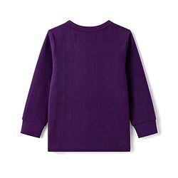 Babyhug Knit Full Sleeves Solid Thermal Inner Wear Vest Pack of 2 - Purple