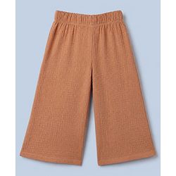 Babyhug 100% Cotton Terry Knit Full Sleeves Top and Pant Set - Brown