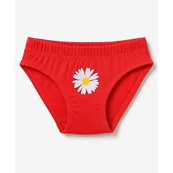 Babyhug 100% Cotton Single Jersey Knit Panties With Polka Dot & Floral Print Pack of 3 - Pink, Red & Beige