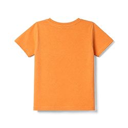 Babyhug 100% Cotton Knit Half Sleeves Solid T-Shirt - Orange