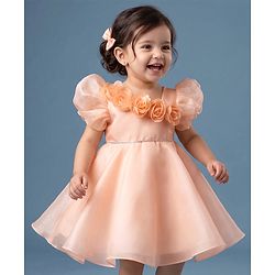Babyhug Organza Woven Half Puffed Sleeves One Piece Party Dress With Flower Applique - Peach