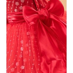 Babyhug Sleeveless Frock With Floral Embroidered - Red