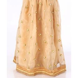 Babyhug Sleeveless Choli with Lehenga Floral Embroidery - Red Golden - 4-5Y Red