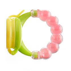 Babyhug Fruit And Food Nibbler (Color May Vary)