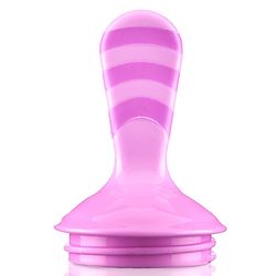 Babyhug Popsicle Shaped Fruit & Food Nibbler - Pink