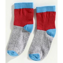 Cute Walk by Babyhug Anti Bacterial Ankle Length Sock Dinosaur Design Pack of 3 - Blue Red