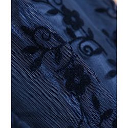 Babyhug Sleeveless Party Wear Embroidered Frock with Corsage - Navy Blue