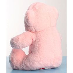Babyhug Plush Teddy Bear Soft Toy Pink Height 30 cm (Colour Bow May Vary)