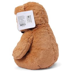 Babyhug Plush Teddy Bear Soft Toy Brown - Height 30 cm