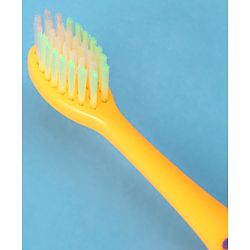 Babyhug Ultra Soft Bristles Bee Design Toothbrush - Purple Yellow