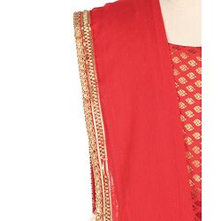 Babyhug Sleeveless Choli With Motif Print Lehenga and Netted Dupatta - Red Beige