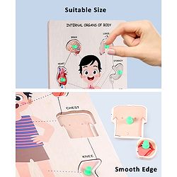 Babyhug Premium Wooden Body Parts 18 Pieces Puzzle - Pack of 2| Educational and Learning Montessori Toy| Knob and Peg Pre- School Puzzle| BIS Certified| 2 Years+