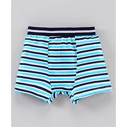 Babyhug 100% Cotton Briefs Pack of 3 - Blue