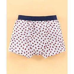 Babyhug 100% Cotton Briefs Pack of 3 - Blue & Grey