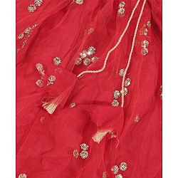 Babyhug Sleeveless Sequin Choli with Lehenga and Dupatta  - Red