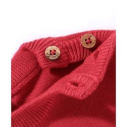 Babyhug Full Sleeves 100% Organic Cotton Sweater Set with Cap Horse Print - Red