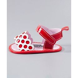 Cute Walk by Babyhug Booties - Pink
