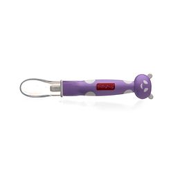 Babyhug Panda Silicone Tip Spoon Set of 2 - Purple