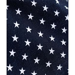 Babyhug 100% Cotton Boxers Pack of 2 - Navy Blue White