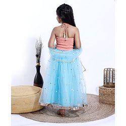 Babyhug Sleeveless Choli & Lehenga With Dupatta Sequins - Blue