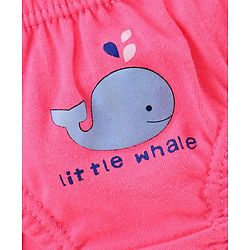 Babyhug 100% Cotton Panties Pack of 3 - Blue Pink