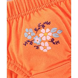 Babyhug 100% Cotton Panties Pack of 3 - Blue Orange White
